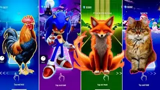 🦧 Funny Rooster 🐓 vs Sonic Exe vs The Funny Fox 🦊 vs The Little Cat 🐈 | Coffin Dance 🪩