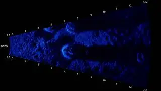 ARIS footage of oyster beds at an oyster restoration site