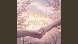 No Puedo Olvidarte