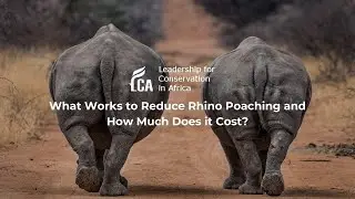 What Works to Reduce Rhino Poaching and How Much Does it Cost?