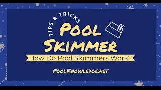 Why Is My Skimmer Not Working | PoolKnowledge.net
