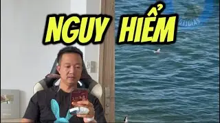 Swirling Water When Going to the Beach and How to Escape