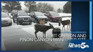 Hunting on Fort Carson and Pi&ntilde;on Canyon Maneuver Site halted until shutdown ends