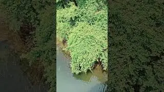 Indian army mini vlog 1k