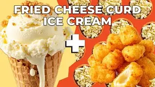 I Turned FRIED CHEESE CURDS Into Ice Cream! (VIEWERS CHOICE)
