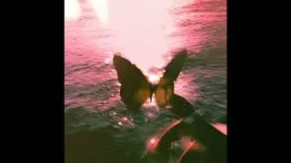 (free) FRANK OCEAN + SZA TYPE BEAT - 