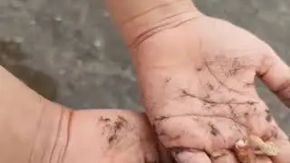 Gorai Beach,Mumbai