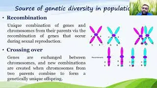 Problems of small populations