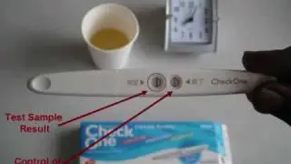 How to use Japanese 