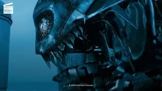 Transformers: Revenge of the Fallen: Tiger robot (HD CLIP)