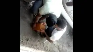 Foi trolado e meteu a m&atilde;o na merda