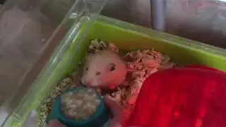 Завтрак!