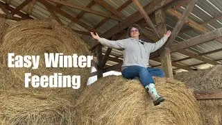 Our Winter Hay Feeding System (No Tractor Every Day)