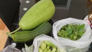 My small garden || UK garden || Najmun Rahman Vlogs UK