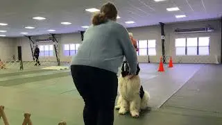 New Lenox Open Run #1 12/31/25