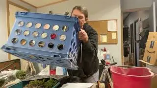 Potting Tree Seedlings: My pots are too small! DIY planter