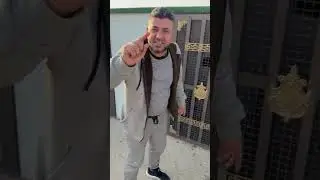 ١٣ يناير ٢٠٢٦