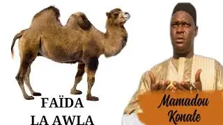 MAMADOU KONATE FAÏDA WILIBALI DE PROTECTION ET PROPERITE SUR LA HAWLA