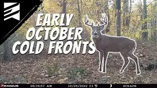 How To Hunt Early October Cold Fronts For Big Bucks!