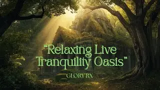Relaxing Ambient Music for Sleep, Study, Meditation | GLORY RX &ndash; Tranquility Oasis (Live)