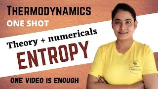Entropy Conceptual Questions with Theory | Thermodynamics |  Lamiya Naseem