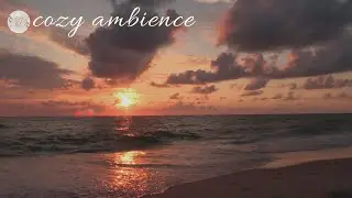 🌊 30-MINUTE COZY BEACH WAVES | COZY BEACH AMBIENCE | ASMR AMBIENCE | COZY AMBIENCE