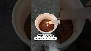 Como espantar moscas e mosquitos