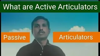 Active Articulators and Passive Articulators