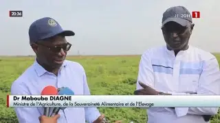 Partenariat public-privé : le Sénégal trace sa voie vers l’autonomie semencière