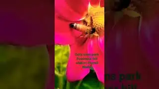 Ooty sims park  coonoor nilagiri hill station Tamil Nadu