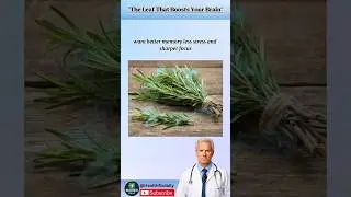&ldquo;This Leaf Boosts Memory, Mood & Focus @SeniorHealthTV2 @Health365dailyGuide #shorts