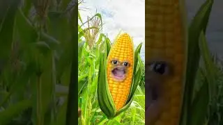 What&rsquo;s your favorite vegetable? ￼#vegetables #foodwars #carterandersoncomedy