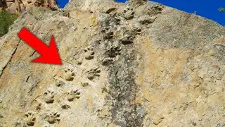 Scientists At Grand Canyon Just Announced A TERRIFYING New Discovery!