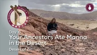 Day 6: Your Ancestors Ate Manna in the Desert | Desert of Zin  | Pilgrimage of Grace