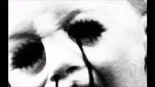 Scamp - Hyper Tension (Life4Land)