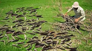 Best Catching Under Dry Soil - Fishing a Lot Fish in Secret Fish Nest in Dry Season 2021