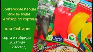 Болгарские перцы. Обзор по сортам.