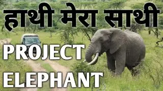 Project Elephant || हाथी मेरा साथी || MIKE PROGRAM