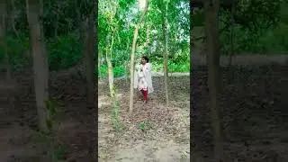 Dhere dhere tu chhuindei jaa#odia romantic song#short #money