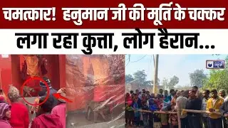 Dog Worship Hanuman Ji: बिजनौर में चमत्कार? मंदिर में घंटों परिक्रमा करता दिखा कुत्ता | India News
