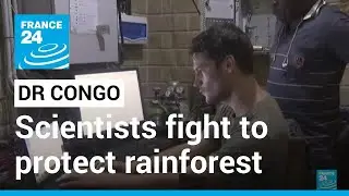 Scientists fight to protect DR Congo rainforest as threats increase &bull; FRANCE 24 English