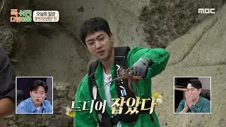 [푹 쉬면 다행이야] 힘들게 잡은 문어에 축제 분위기?! 또 찾아온 문어 금어기에 절망하는 일꾼들😭, MBC 240819 방송
