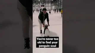 Penguin skating