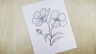 how to draw a buttercup flower drawing | Easy pencil sketch for beginners