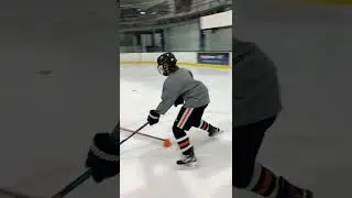 Euro Elite Hockey Development