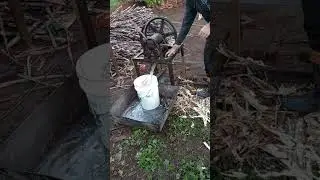 fazendo melado aqui no interior de Rio Grande do Sul