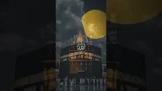 31 August2025