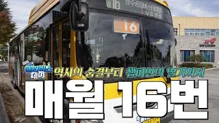 광주의 '힘'이 느껴지는 액티비티한 버스여행! 매월 16번 타고 행복한 스포츠 도시로~  / 해피버스데이