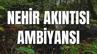 RAHATLATICI NEHİR AKINTISI SESİ, AMBİYANS Rahatlatıcı Dere Sesi, Doğa Sesleri, Uyku Müziği
