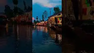 Floating Market Dal Lake Kashmir 🇮🇳|| Dal Lake Kashmir || #shorts #kashmir #india